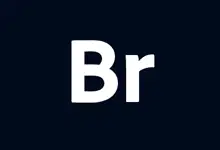 Adobe Bridge 2025 安装版（v15.1.0）-123资源库-免费的高质量游戏资源网站